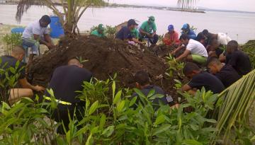 Siembran mangle rojo para evitar erosión en Coveñas, Sucre