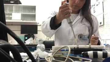 Investigadora de Dimar participa en estancia académica en la Universidad Autónoma de Baja California